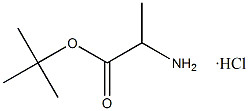 Tert-Butyl L-Alaninate Hydrochloride CAS. 13404-22-3 सफेद से ऑफ-व्हाइट पाउडर शुद्धता 98% पिघलने का बिंदु 168-175 °C